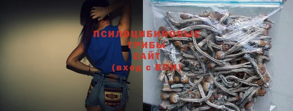 прущий лед Заводоуковск