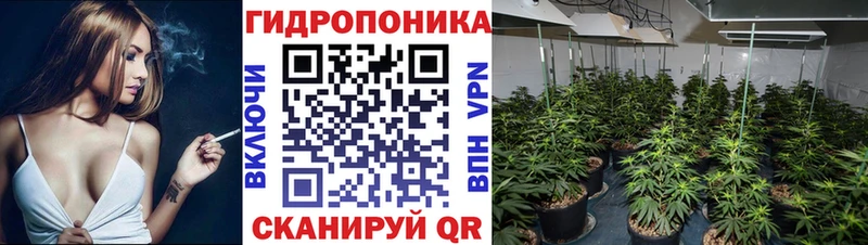 Шишки марихуана MAZAR  Купить где  Жердевка 